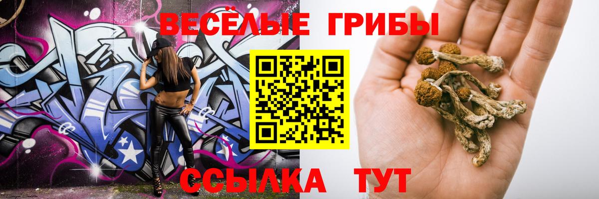 Мурманск  Галлюциногенные грибы прущие грибы  Вход с VPN 